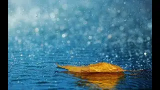 Relaxing Rain Music Beautifull