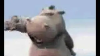 L'hIpPo LaTiTaNte