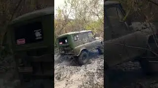Болотный бой Таргай