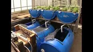Aquaponics