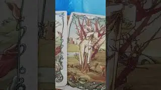 Послание Высших сил, что Вам важно знать прямо сейчас #show #tarot #гадание #ответы #предсказание