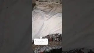 Угадайте что это 🤓