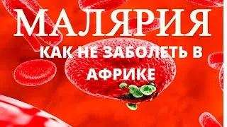 Малярия - как не заболеть в Африке.