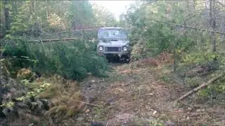 Наши лесные дороги в 2018. ч.1.