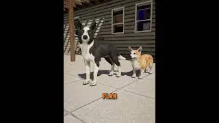 Why You Should Always Have A Best Friend 🐶🤝 