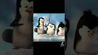 Penguins from Madogoskar gameplay!
