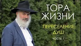 Тора жизни. Переселение душ (часть 1)