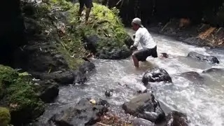 Eel fishing in streams