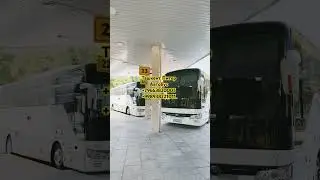 Ташкент Питер автобус