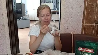 Продукты докупила и наконец купила готовый шашлык , только пожарить надо!