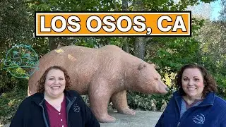What to Do in Los Osos, CA 🌿 | Exploring California