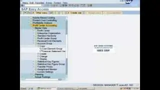 SAP Profit Center Accounting Configuration - Create Account  Groups