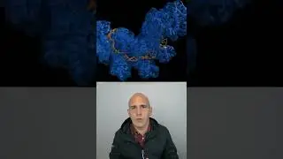 Crispr cas9 - Copy paste genético