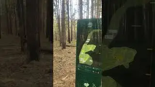 14 мая 2024 г.