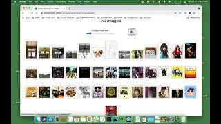 Image Libraries demo (made in Angular)