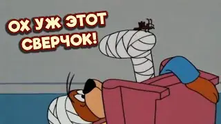 Семья Барри. Назойливый сверчок