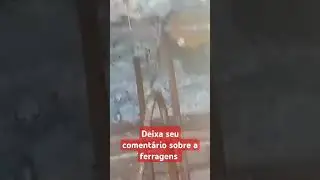 29 de junho de 2024