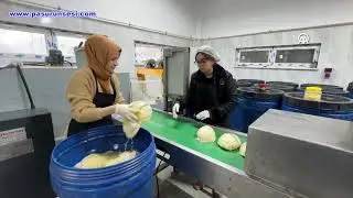 The factory, established with the support of the development agency, produces 20 tons of pickles ...
