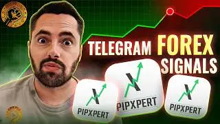 Telegram Forex Signals 2026: How to Find the Perfect currency signal ? (Honest Review)