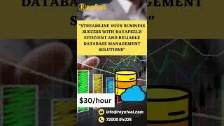 RayaFeel's Efficient and Reliable Database Management Solution..!!!
