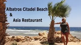 Albatros Citadel Resort | Beach & Asian Restaurant | Ägypten | 2019