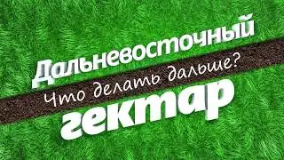 Дальневосточный гектар. Что делать дальше?