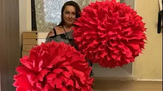 Огромные  цветы из гофрированной бумаги. Growth flowers from crepe paper