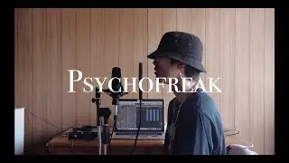 Camila Cabello - psychofreak ft. WILLOW (cover)