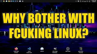 Why Bother With Fcuking Linux in 2023?