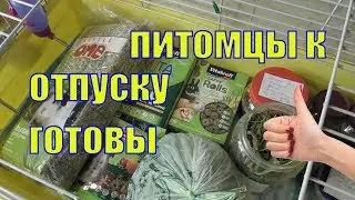 Собираю питомцев в отпуск/Клетка для свинок/Елена и зверята