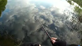 У.Клея)) #shorts #рыбалка #рек #тренды #втренде #топ #rybalkaestrybalka #врек #fishing