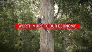 Why take 150 people into a Giant Tree?