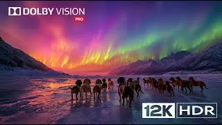 The Most Epic HDR Video | 12K Dolby Vision Ultra HD
