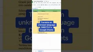 Translate an unknown language directly in 