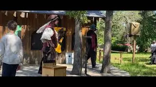 Sherwood Forest Faire and the African White-Necked Raven