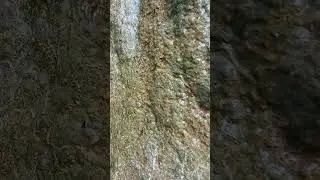 Можно бесконечно смотреть на то, как горит огонь, течёт вода и... течëт вода🤣