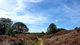Drone Parrot Bebob Sallandse heuvelrug, Eierberg,Heino,Lemeleberg HD video