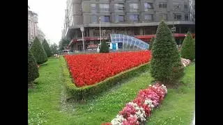 OLHA QUE BONITO !!!