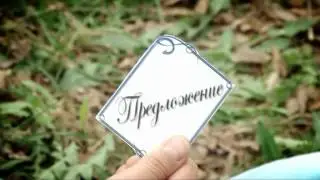 LoveStory Александр и Ольга
