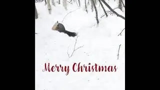Merry Christmas and Happy New Year
