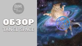 Обзор Tangl Space