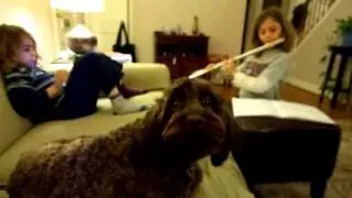 Dog Howls at Flute!! MUST WATCH!!!!!