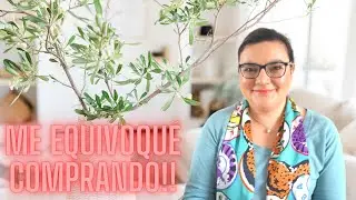 PRIMER HAUL DEL AÑO Y ME EQUIVOCO COMPRANDO!!