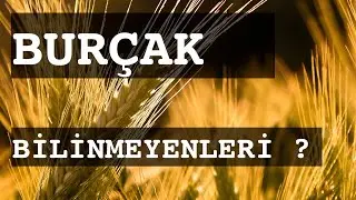 BURÇAK / BİLİNMEYENLERİ                                #burçak #burçakbilinmeyenleri #bilinmeyenler