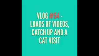 Vlog #54 - Loads of videos, catch up and a cat visit