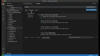 Run and Debug CodeLenses - Serenji 3.2 ObjectScript debugger for VS Code.