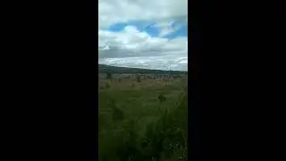 Природа  України в Карпатах