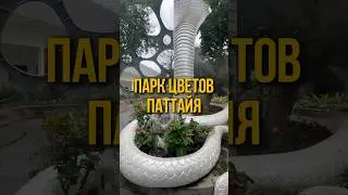 ЛОКАЦИЯ В ТЕЛЕГРАММ #таиланд2024 #паттайя #местадляпосещения