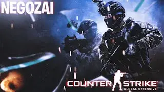 Унижают на Сильверах. CS Go.