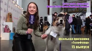 15 выпуск школьной программы "ТелеФлеш" пресс-центра "Царицыно". Школа 1466